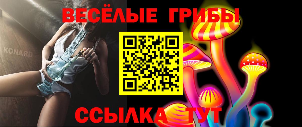 Галлюциногенные грибы Magic Shrooms  даркнет сайт  Вход с VPN  Чернушка  Псилоцибиновые грибы Psilocybine cubensis 